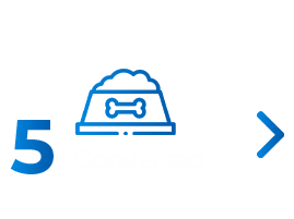 Conversão